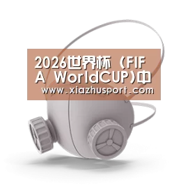 N95 口罩